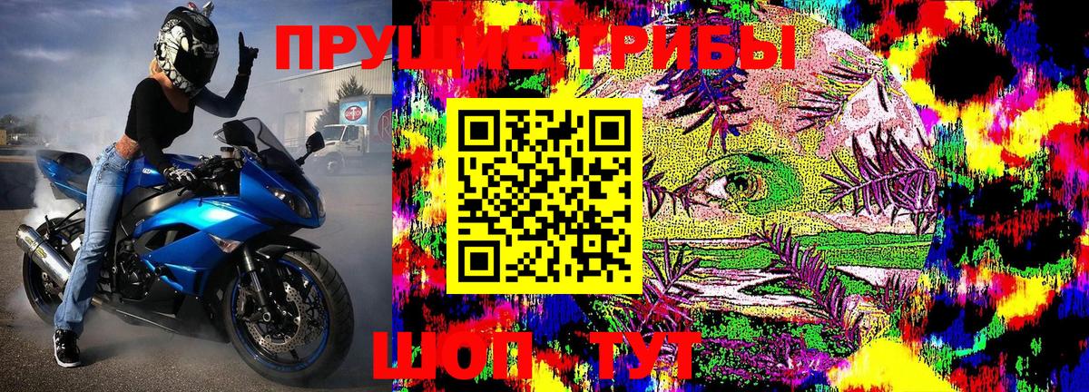 Галлюциногенные грибы Psilocybe  Вход с VPN  Новокуйбышевск 