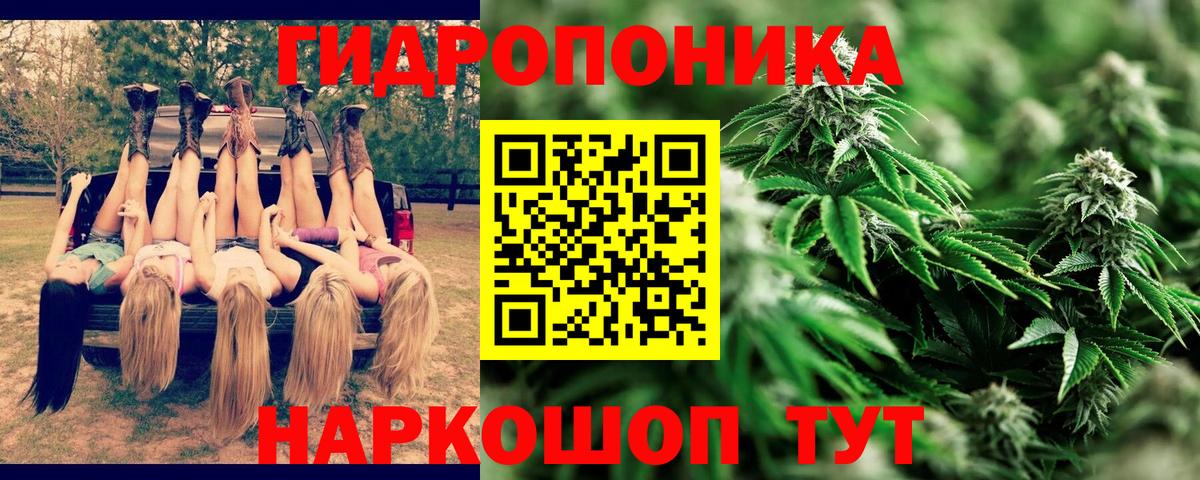 Бошки Шишки тримм  Вход с VPN  Бошки марихуана OG Kush  Новокуйбышевск  Бошки марихуана тримм 